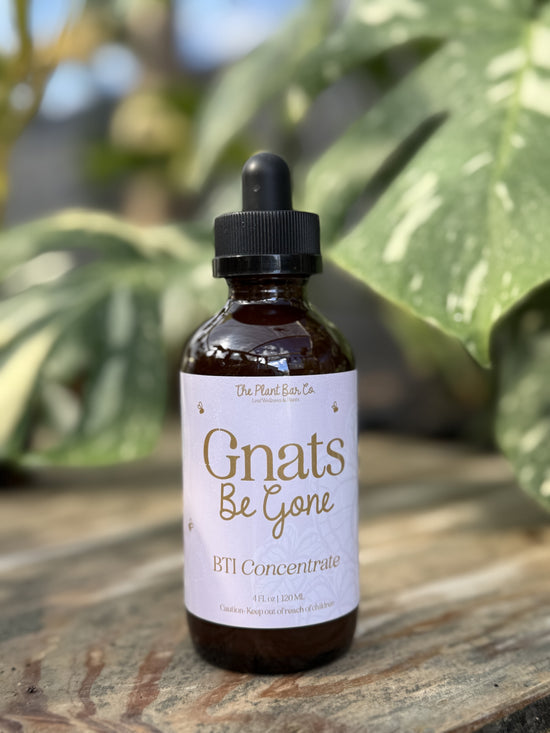 Gnats Be Gone!