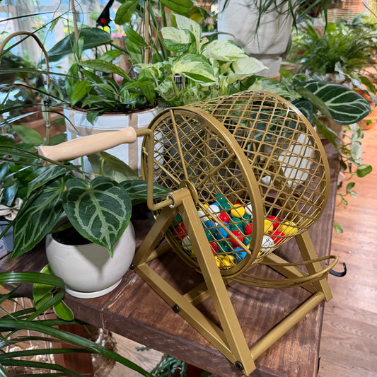 Plant Bingo Ticket – Admit One Plant Lover