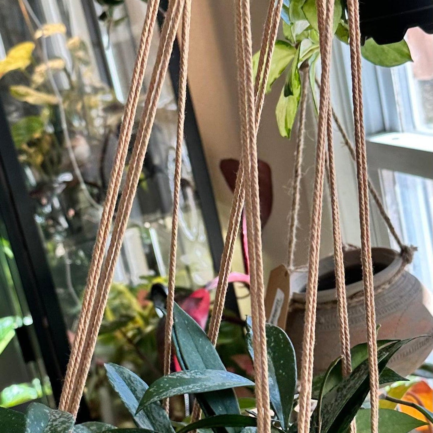 Crochet Macrame Handing Plant Holders Large-available at Hidden Seed Plant Shop
