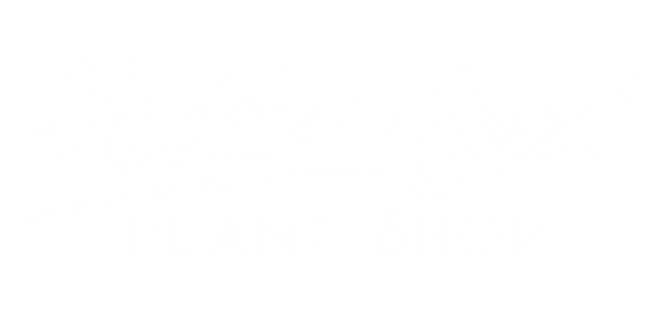 Hidden Seed Plant Shop