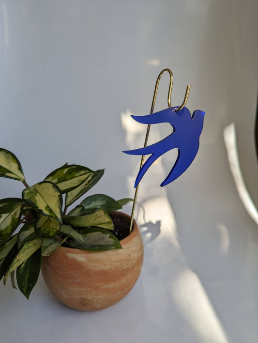 Plant Pick: Blue Dove