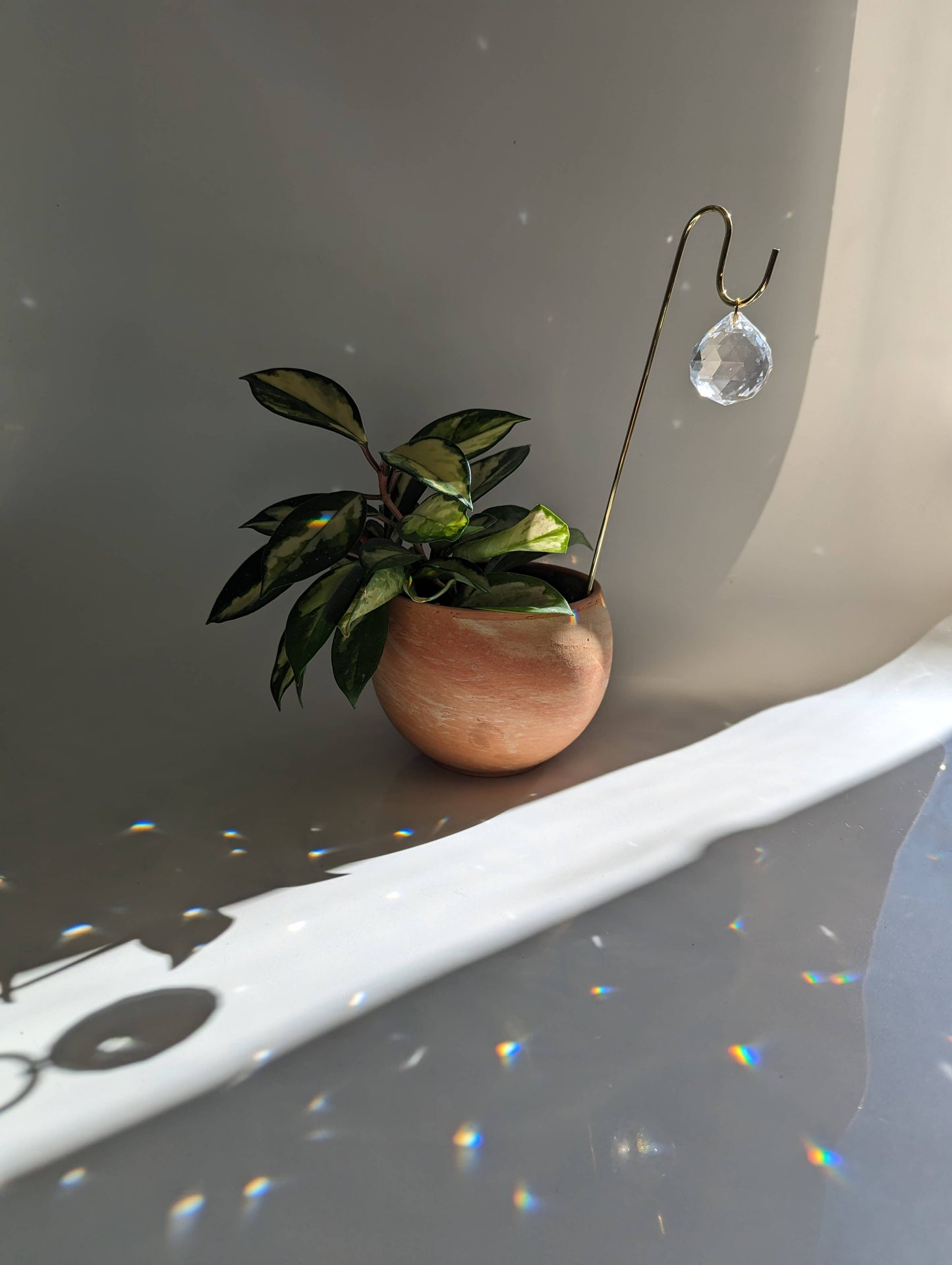 Sun Charm Plant Pick for House Plants