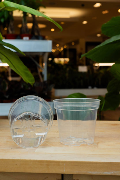 Clear Grower Pot