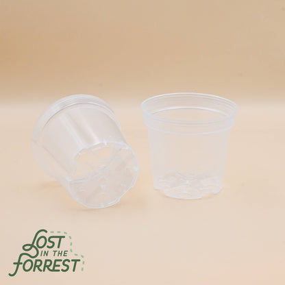 Clear Grower Pot
