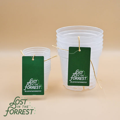 Clear Grower Pot
