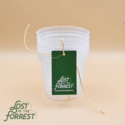 Clear Grower Pot