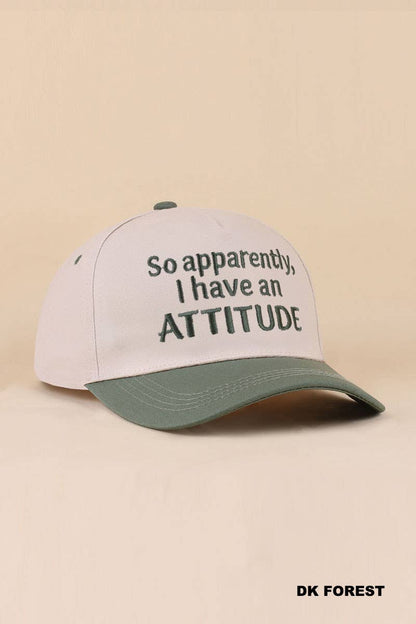 Two Tone Snapback Hat