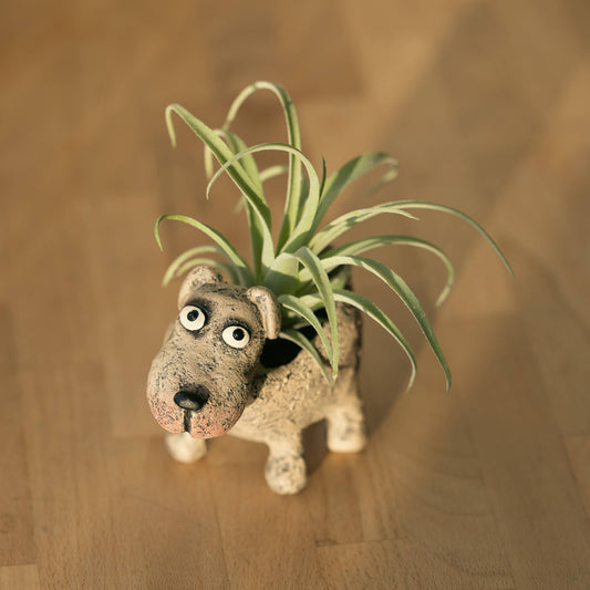 Petunia Dog Blobhouse Planter