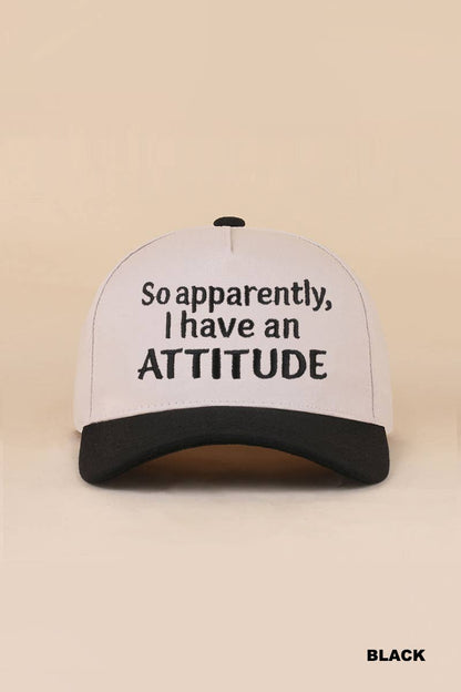 Two Tone Snapback Hat
