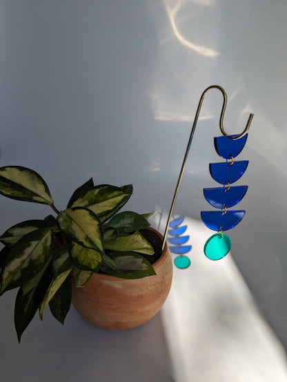 Plant Pick: Blue + Mint Sunrise