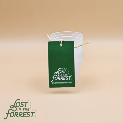 Clear Grower Pot