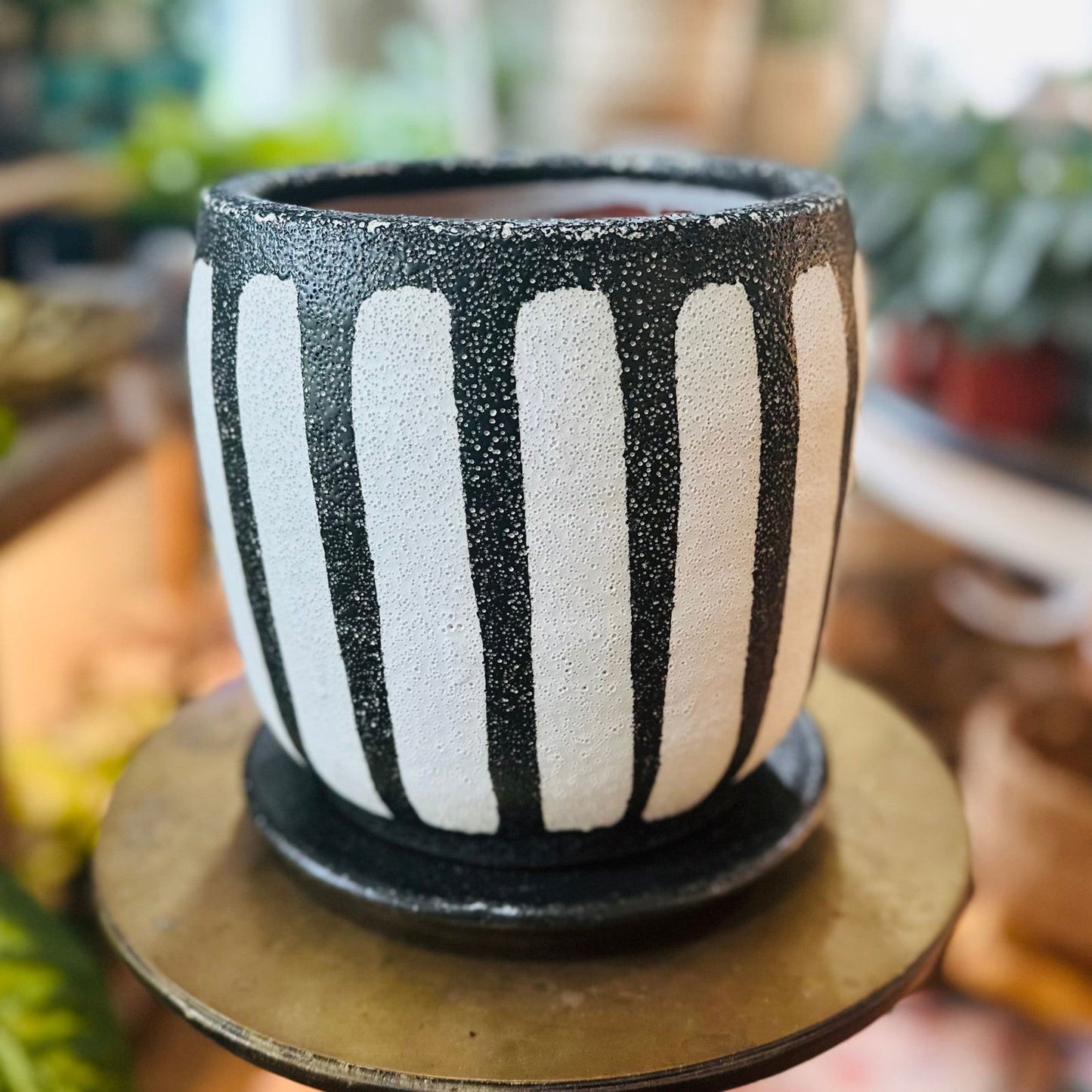 Black Lines Terra Planter-8” - Hidden Seed Plant Shop