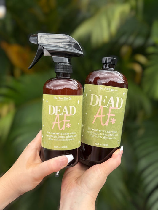 Dead AF (Killer Bug Spray)