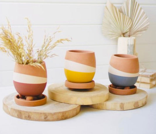 Double Dipped Clay Pots W/Dip Trays - Hidden Seed Plant Shop