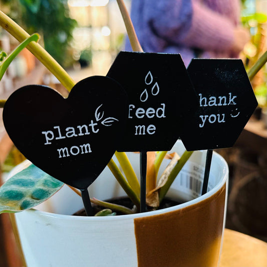 Friendly Phrases plant stick-available at Hidden Seed Plant Shop