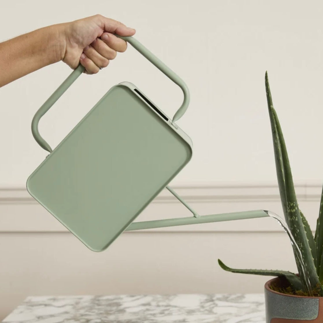 Region Watering can 14”