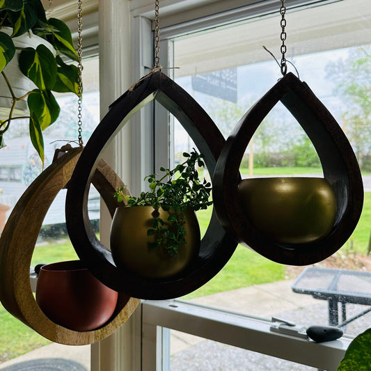 Gilford Hanging Pot-available at Hidden Seed Plant Shop