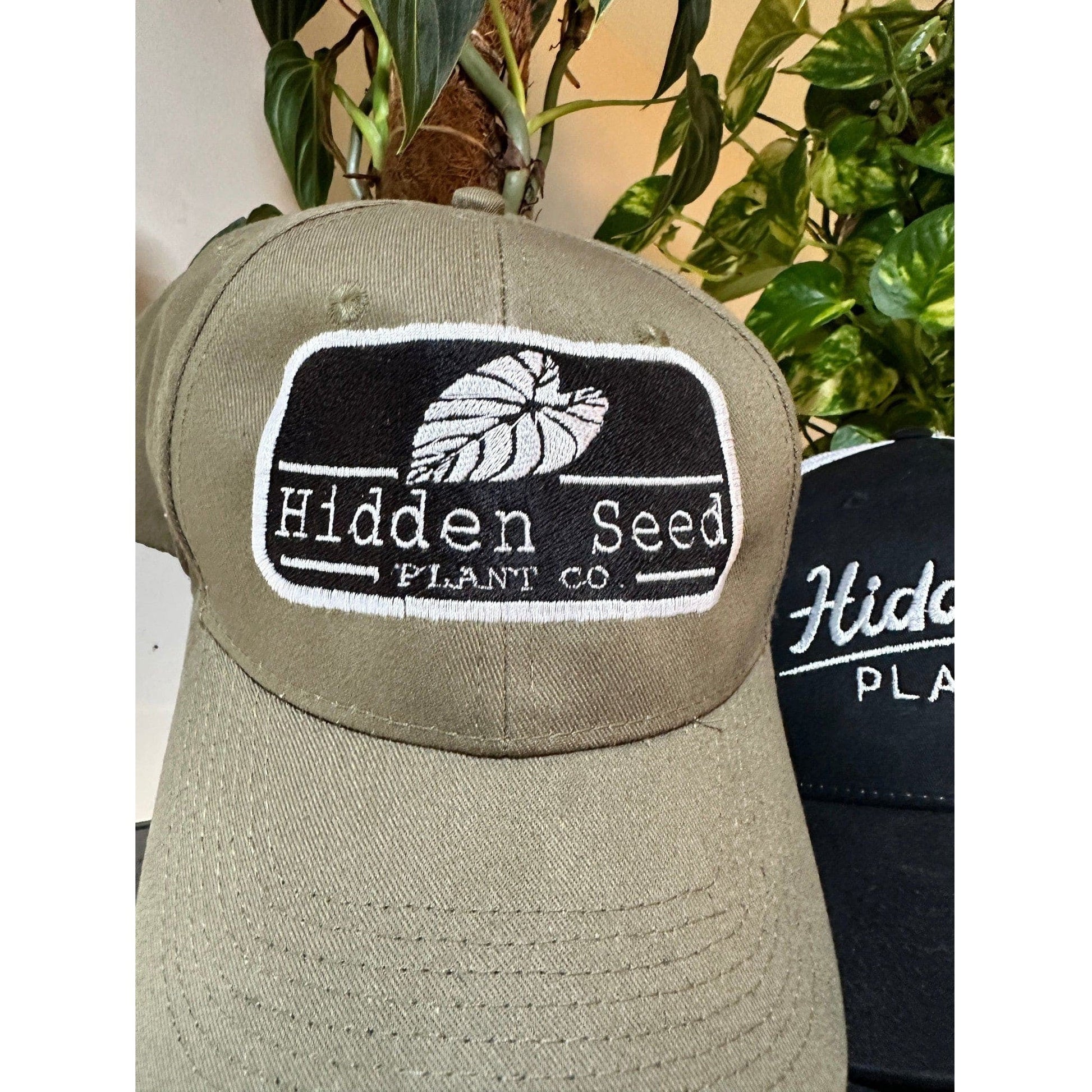Hidden Seed Co. Hat-available at Hidden Seed Plant Shop