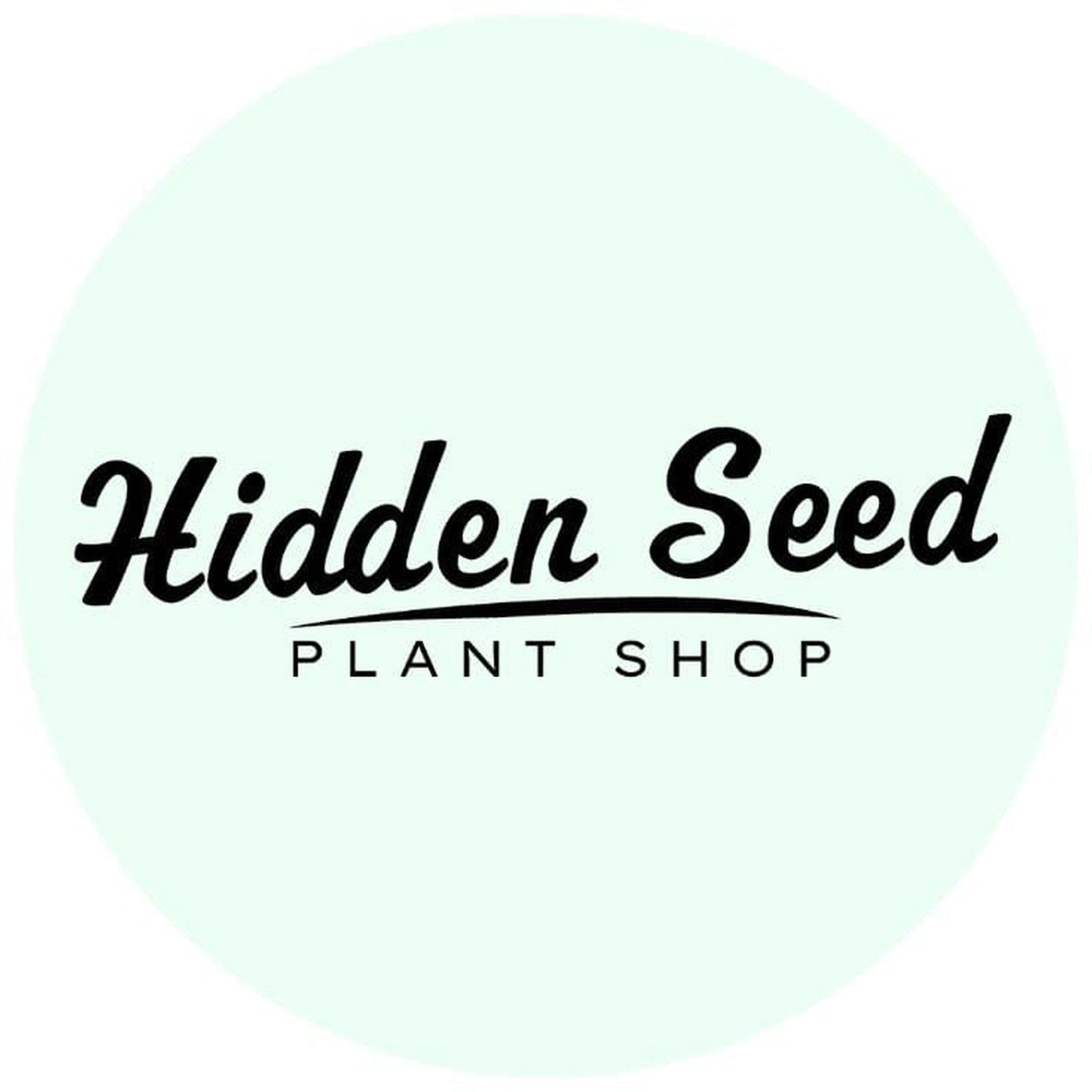 Hidden Seed - Plant Rescue Medium | 1.25 lb-available at Hidden Seed Plant Shop