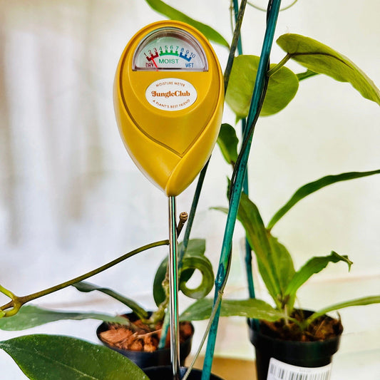 Jungle Club Moister Meter | The one we use… - Hidden Seed Plant Shop