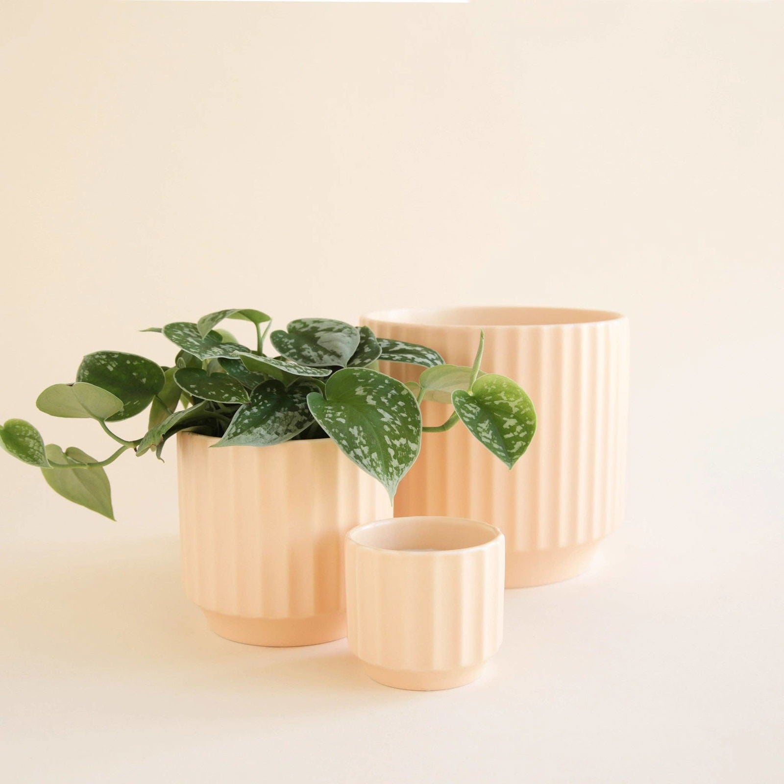Monroe Pot - Vanilla - Hidden Seed Plant Shop