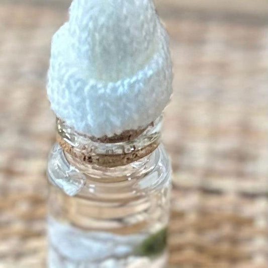 Moss Ball ‘Beanie’ Keep your balls Warm! - Hidden Seed Plant Shop