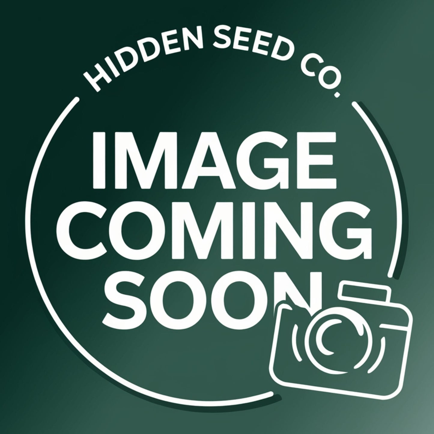 Hidden Seed Co. T-Shirts (1)