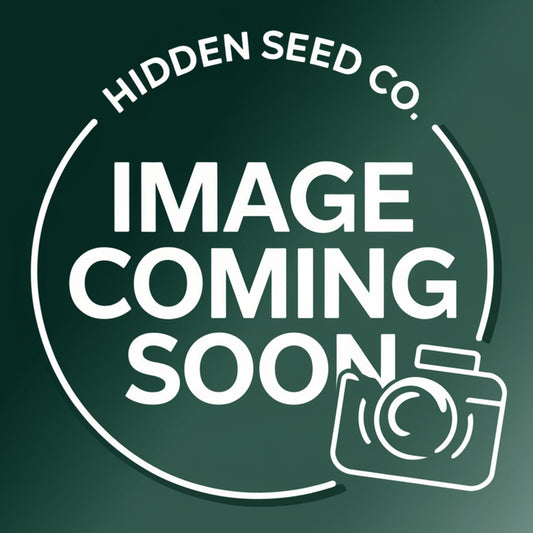 Hidden Seed Co. T-Shirts