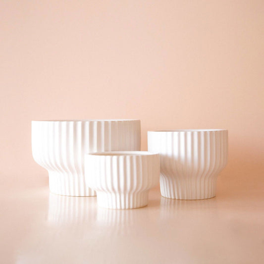 Presley Pedestal Pot - White - Hidden Seed Plant Shop