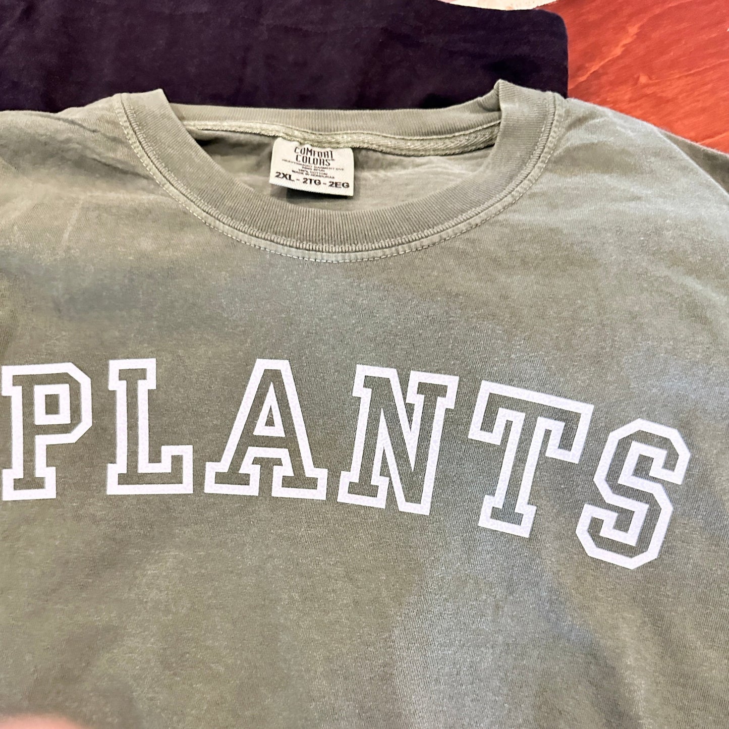 Tee’s + Sweatshirts (PLANTS)-available at Hidden Seed Plant Shop