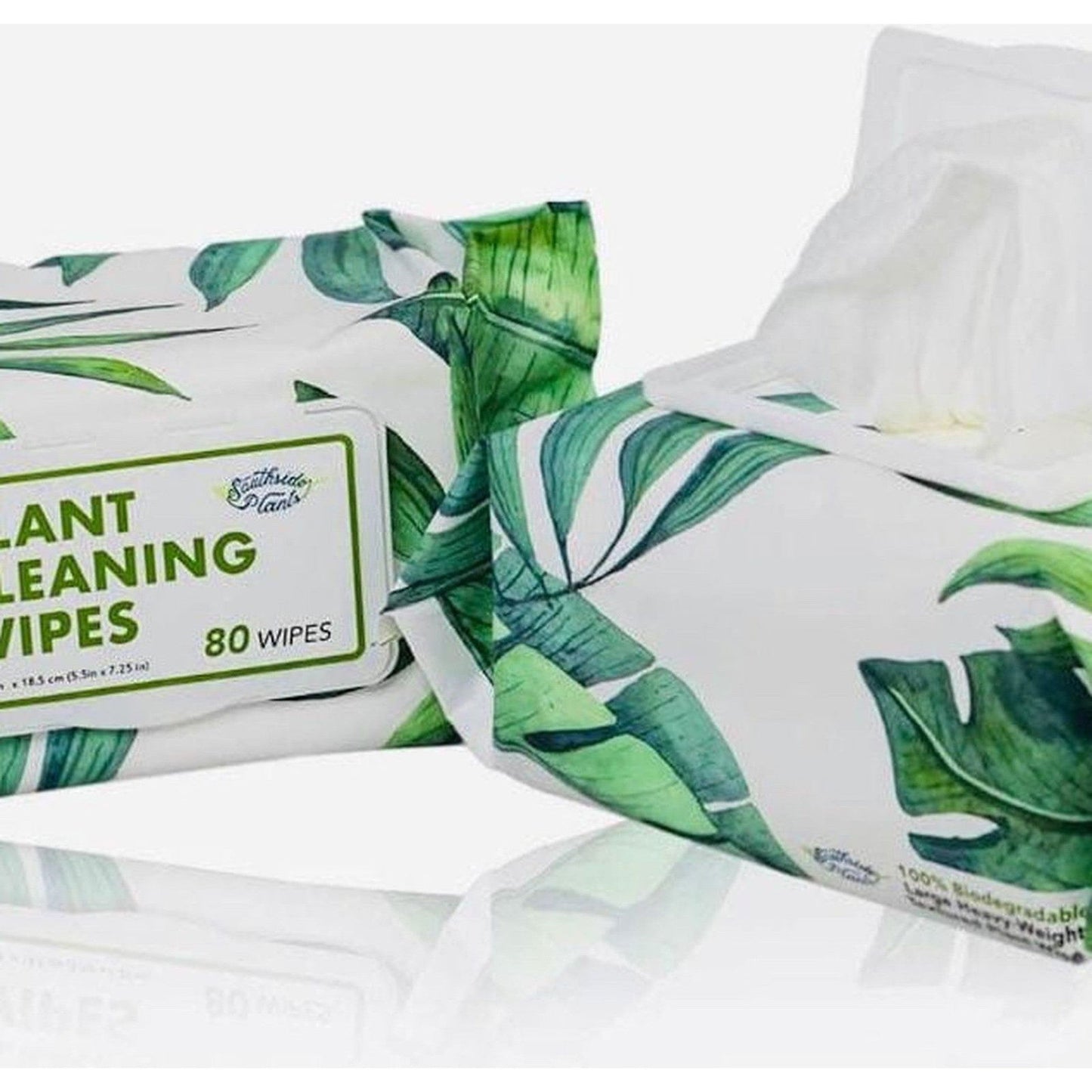 The Plant Wipe - Hidden Seed Plant Shop