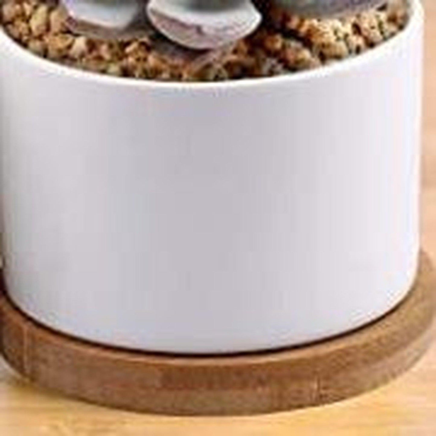White Cylinder Porcelain Planter w/Bamboo Saucer-available at Hidden Seed Plant Shop