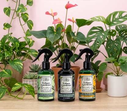 Natural Houseplant Care Sprays
