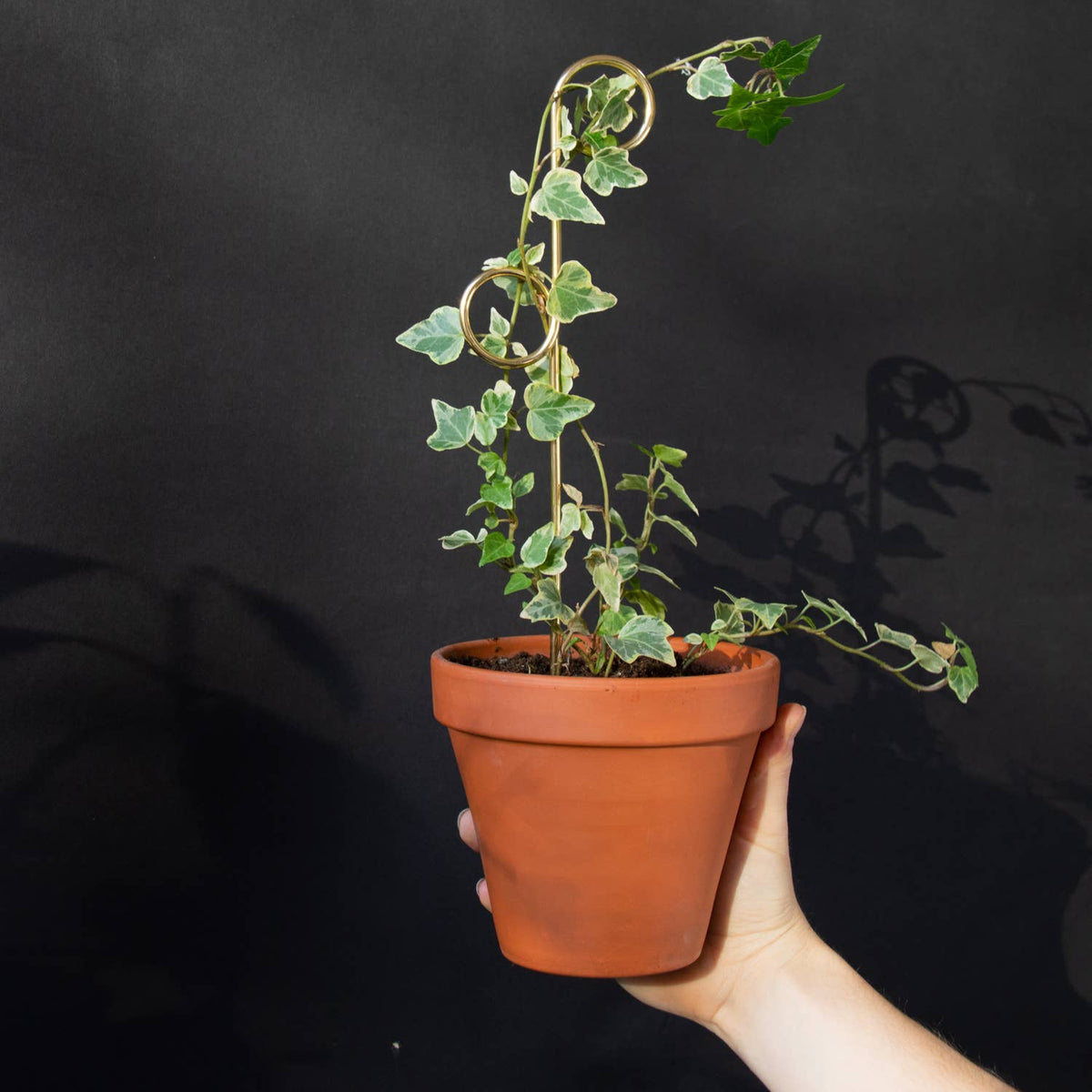 Mini Plant Stake from rust-proof metal - Perch - Gold