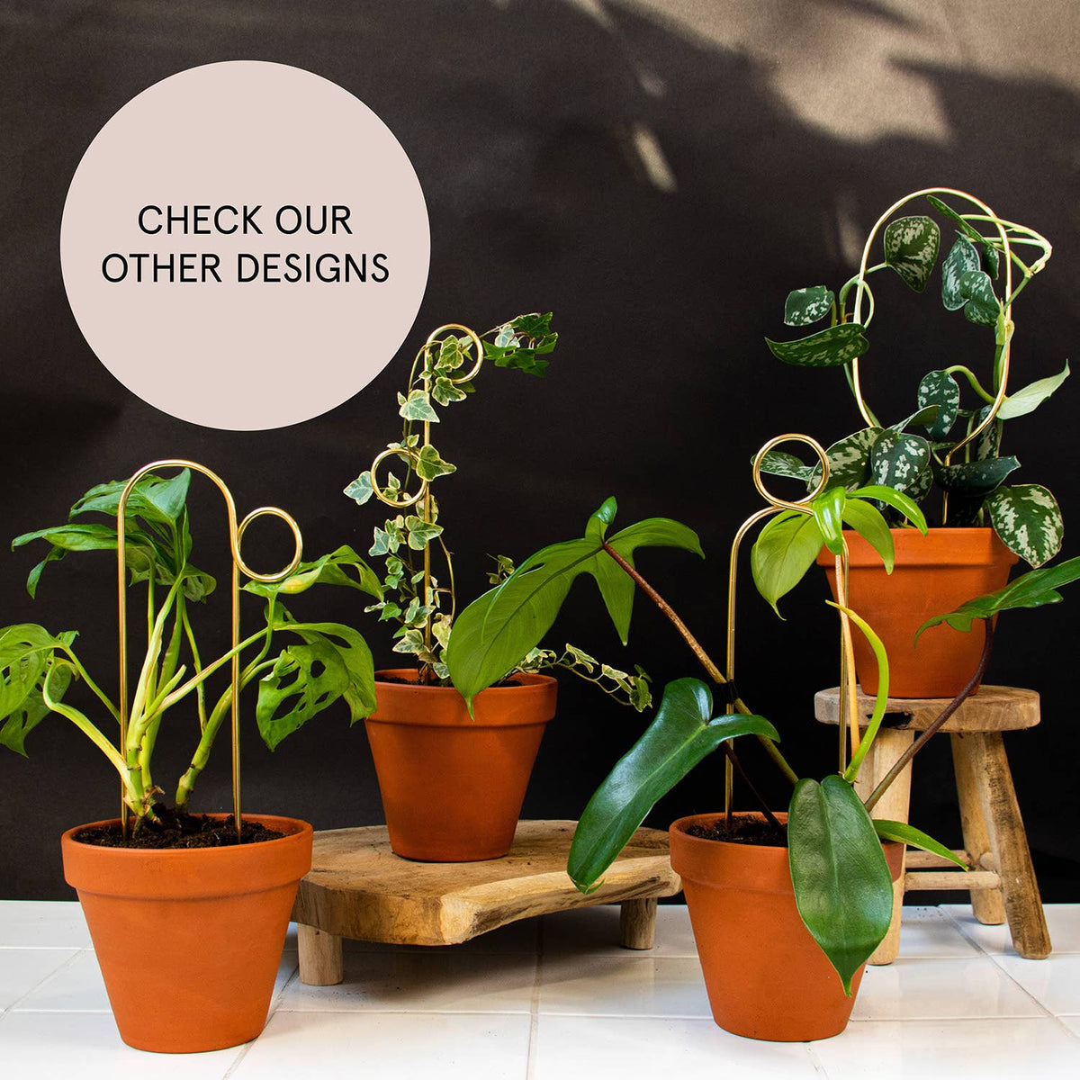 Mini Plant Stake from rust-proof metal - Perch - Gold