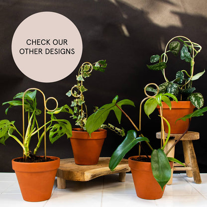 Mini Plant Stake from rust-proof metal - Perch - Gold