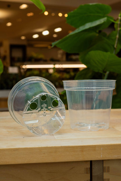 Clear Grower Pot