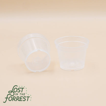 Clear Grower Pot