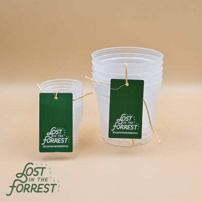 Clear Grower Pot