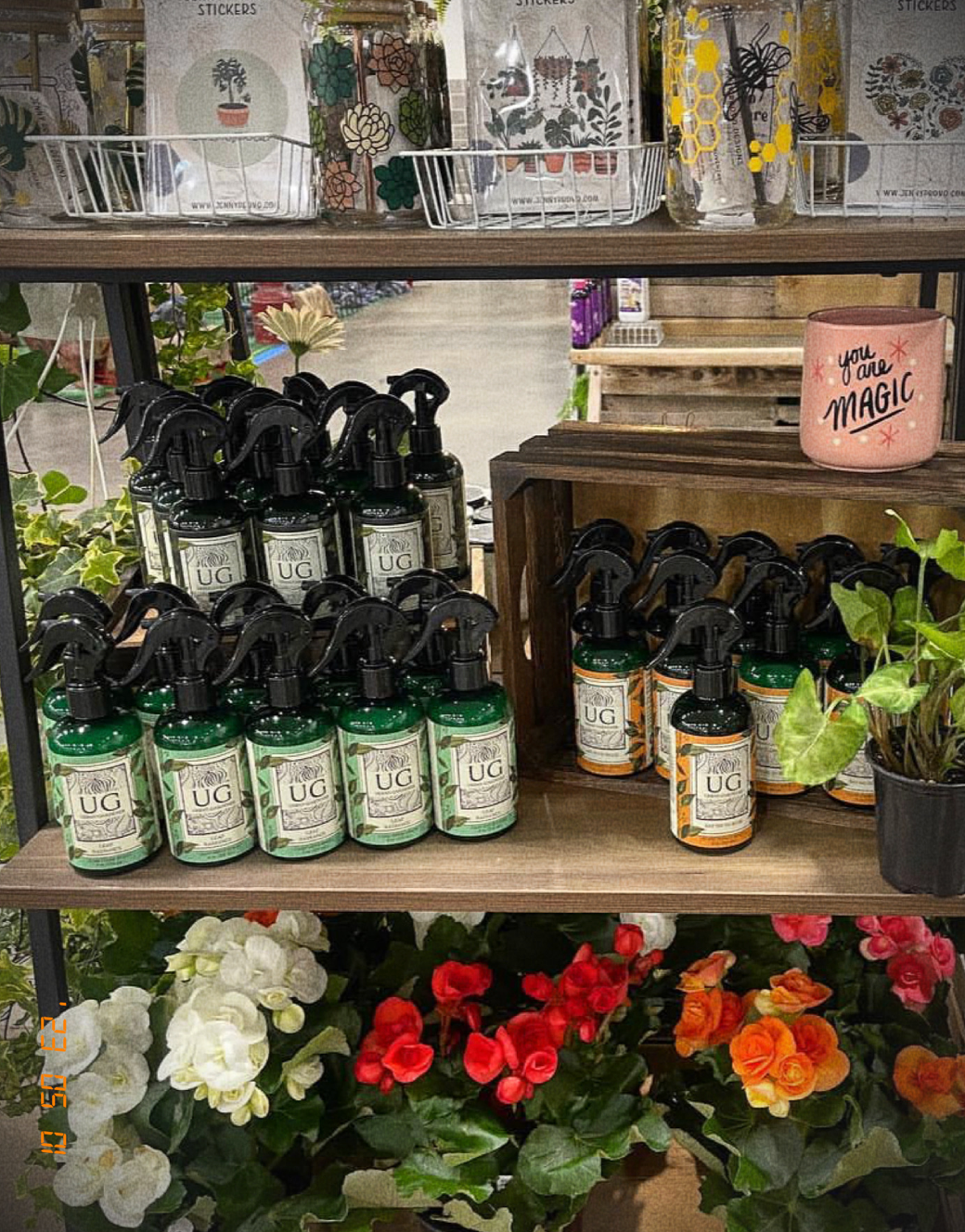 Natural Houseplant Care Sprays