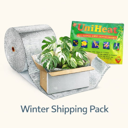 shipping_pack_add_on